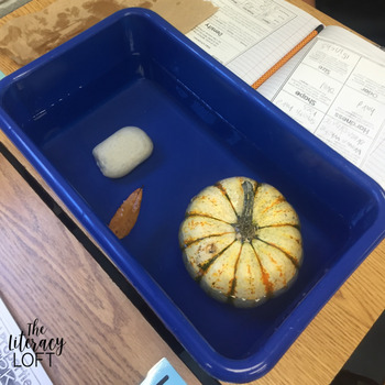 Pumpkin Science Physical Science Investigation by The Literacy Loft