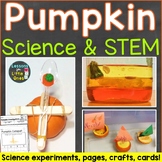 Pumpkin Science & STEM, Parts of a Pumpkin Word Wall Cards, Pumpkin Craft