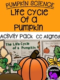Pumpkin Science: The Life Cycle of a Pumpkin {Kindergarten