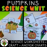 Pumpkins Science | Life Cycle of Pumpkin