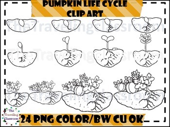 pumpkin seeds clip art black and white