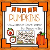 Pumpkin Seek and Find for Sensory Bins - Letters / Beginni