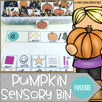 Preview of Pumpkin Sensory Bin for S Blends and Describing
