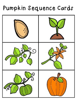 Pumpkin Sequence Cards & Worksheet by Enchanting Little Minds | TpT