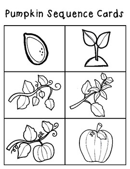 Pumpkin Sequence Cards & Worksheet by Enchanting Little Minds | TpT