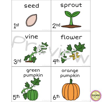 Pumpkin Sequencing Activity by The Blooming Mind | TpT