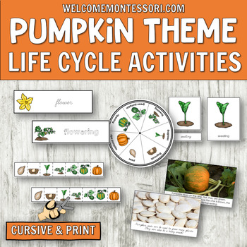 Preview of Pumpkin Life Cycle Activities for Montessori or Preschool Science Centers