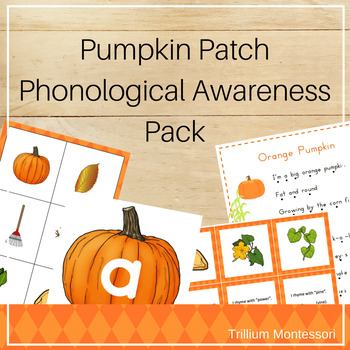 Preview of Pumpkin Theme Phonological and Phonemic Awareness Activities