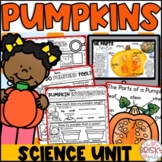 Pumpkin Unit Kindergarten | Pumpkin Science | Pumpkin Inve