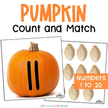 Preview of Pumpkin Seed Counting, Real Picture Pumpkin Math Task Cards