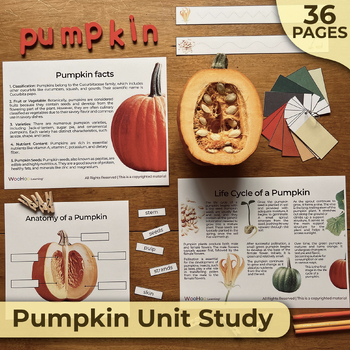 Preview of Pumpkin Unit Study, Montessori Activities, Fall Activities, Nature Unit Study