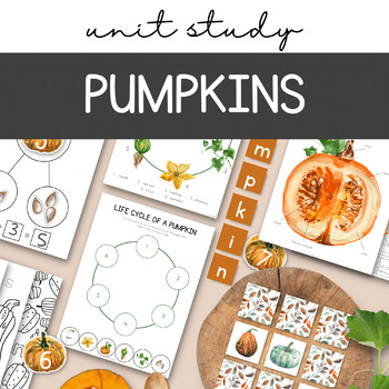 Preview of Pumpkin Unit Study, Pumpkin Life Cycle, Fall Montessori unit, nature flashcards