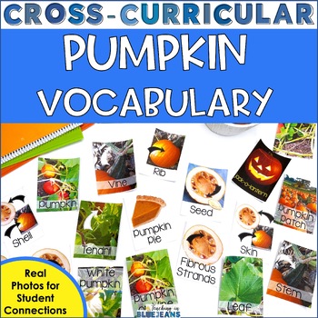 Preview of Pumpkin Life Cycle & Parts of a Pumpkin Photo Vocabulary Cards Fun Fall Science