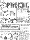 Pumpkin coloring page