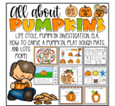 Pumpkin life cycle, investigation, how to carve a pumpkin,