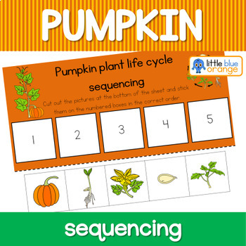 Pumpkin life cycle sequencing activity worksheet by Little Blue Orange