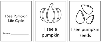 Preview of Pumpkin lifecycle I See book