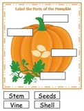 Pumpkin themed What are the Parts preschool educational le