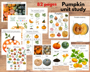 Preview of Pumpkin unit study, Pumpkin anatomy, life cycle, Pumpkin varieties 3-part cards