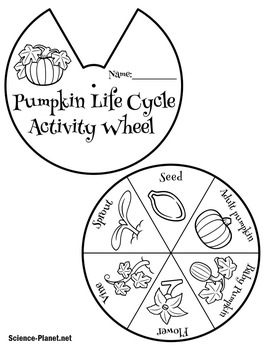 Pumpkin Life Cycle Activities Bundle by Green Apple Lessons SCIENCE