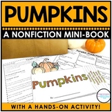 Pumpkins | Parts of a Pumpkin | Activities | Life Cycle | October Fall Science