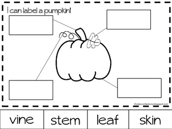 Pumpkins: A thematic Unit by KinderConfections | TpT