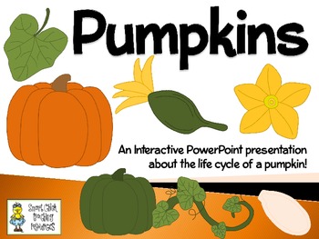 Preview of Pumpkins ~ An Interactive PowerPoint Presentation of their Life Cycle