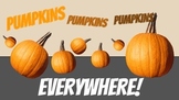 Pumpkins Everywhere!