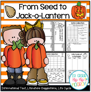 Preview of Pumpkins From Seed to Jack-o-Lantern with Informational Text and Research!