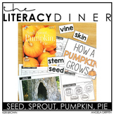 Pumpkins - Kindergarten Interactive Read Aloud