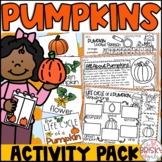 Pumpkins | Pumpkin Life Cycle | Life Cycle of a Pumpkin