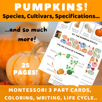Preview of Pumpkins/Montessori 3 Part+Info Cards/Parts+Life Cycle Of A Pumpkin/Activities