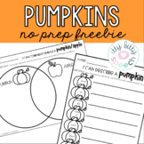 Pumpkins - No Prep Freebie