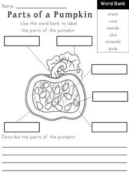Pumpkin Parts, Life Cycle, & STEM Activities by Joyful Learning - Megan Joy
