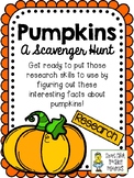 Pumpkins - Scavenger Hunt Activity and KEY
