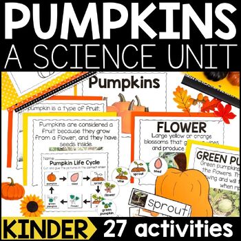 Preview of Pumpkins Science Unit for Kindergarten | Pumpkin Life Cycle and Pumpkin Crafts
