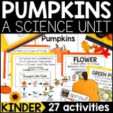 Pumpkins Science Unit for Kindergarten | Pumpkin Life Cycl