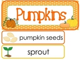 Pumpkins Word Wall Weekly Theme Bulletin Board Labels.