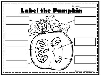 Pumpkins Writing Activity with Informative Prompt & Graphic Organizers