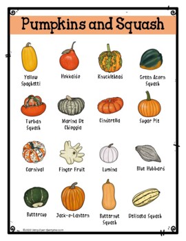 pumpkin species identifier