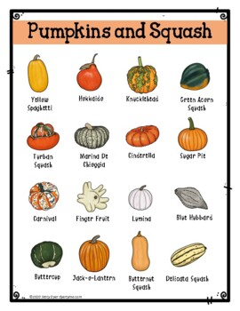 Pumpkins and Squash Identification Set by DyerTyme | TPT