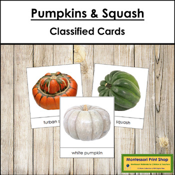 Preview of Types of Pumpkins and Squash - Picture Cards - Vocabulary, ESL