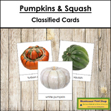 Types of Pumpkins and Squash - Picture Cards - Vocabulary, ESL