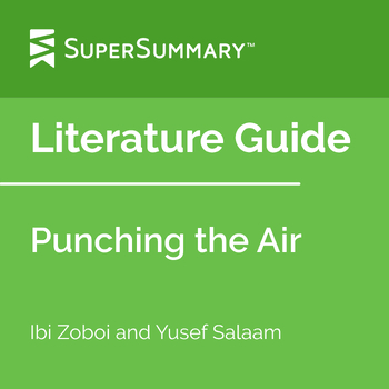 Preview of Punching the Air Literature Guide