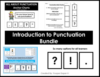 Preview of Introduction to Punctuation Practice Adapted Books and Worksheets Bundle
