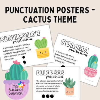 Preview of Punctuation Literary Devices Language Posters English High Middle Cactus Boho