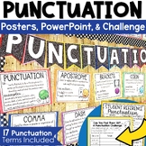 Punctuation Posters Bulletin Board Grammar Review with Pra