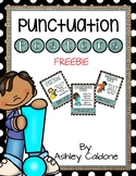 Punctuation Posters- Freebie