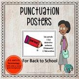 Punctuation Posters for Back to School with White or Distr