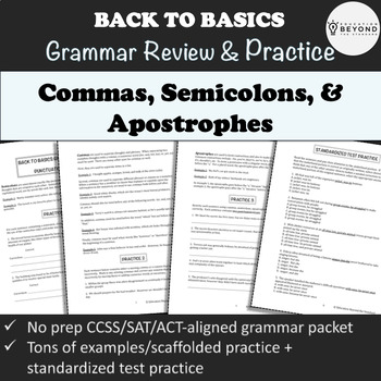 Preview of Punctuation Worksheets - Commas Colons Semicolons Apostrophes - Grammar Practice